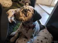 IMG_20250210_164232_web