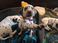 IMG_20250210_164310_web