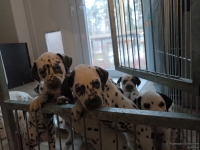 IMG_20250211_091336_web