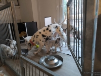 IMG_20250211_091450_web