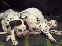 IMG_20250211_130903_web