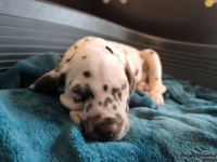 IMG_20250211_130940_web