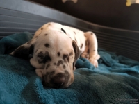 IMG_20250211_130941_web