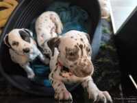 IMG_20250211_131038_web