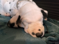 IMG_20250211_154525_web