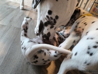 IMG_20250211_153425_web