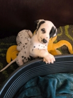 IMG_20250211_153545_web