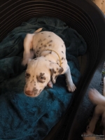 IMG_20250211_153556_web