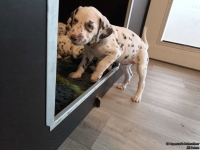 IMG_20250211_153816_web