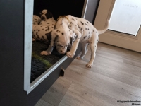 IMG_20250211_153817_web