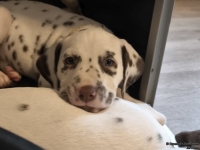 IMG_20250211_154153_web