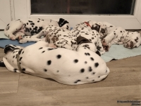 IMG_20250218_204734_web