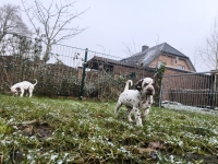 IMG_20250213_145729_web