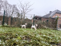 IMG_20250213_145726_web