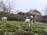 IMG_20250213_145730_web