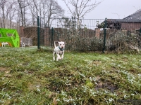 IMG_20250213_145739_1_web