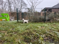 IMG_20250213_145738_web