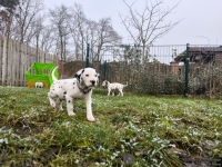 IMG_20250213_145734_web