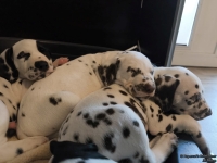 IMG_20250214_100708_web