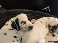 IMG_20250214_100725_web