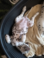 IMG_20250214_164731_web