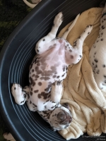 IMG_20250214_164729_web