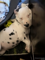 IMG_20250214_173423_web