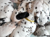 IMG_20250215_110659_web