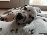 IMG_20250215_111635_web