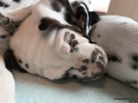 IMG_20250215_111641_web