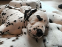 IMG_20250215_111825_web