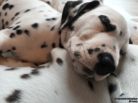 IMG_20250215_111823_web