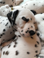 IMG_20250215_111818_web