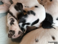 IMG_20250215_111840_web