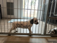 IMG_20250215_134043_web