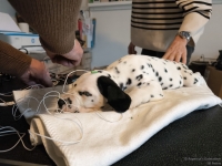 IMG_20250215_120237_web