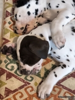 IMG_20250215_122319_web