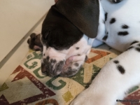 IMG_20250215_122335_web