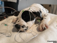 IMG_20250215_122357_web