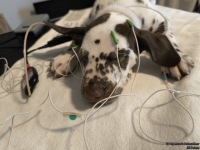 IMG_20250215_123002_web