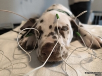 IMG_20250215_124207_web