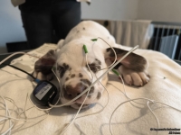 IMG_20250215_124826_web