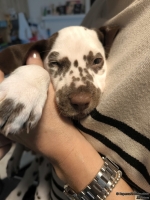 IMG_20250215_124750_web