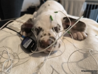 IMG_20250215_124828_web