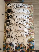 IMG_20250215_125039_web