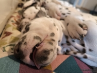 IMG_20250215_125149_web