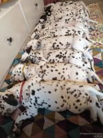 IMG_20250215_130754_web