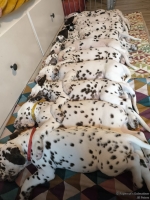 IMG_20250215_130756_web