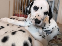 IMG_20250215_132357_web