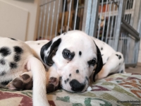 IMG_20250215_132403_web